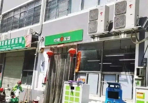 加快发展数字田园，以科技引领农业现代化转型