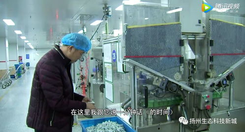 生态科技新城 以创新引擎助推民营经济发展，多名企业家荣获“科技企业家”称号